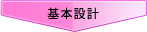 {݌v